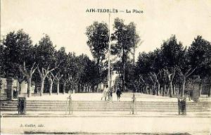 Ain tedeles 515